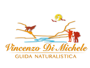 Logo guida Vincenzo Di Michele
