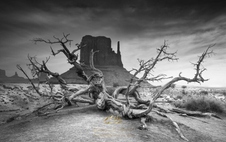 monument valley