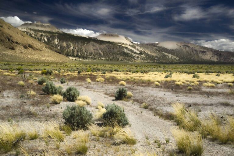 Owen Valley
