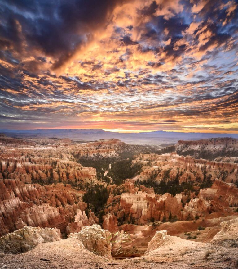 Brice canyon