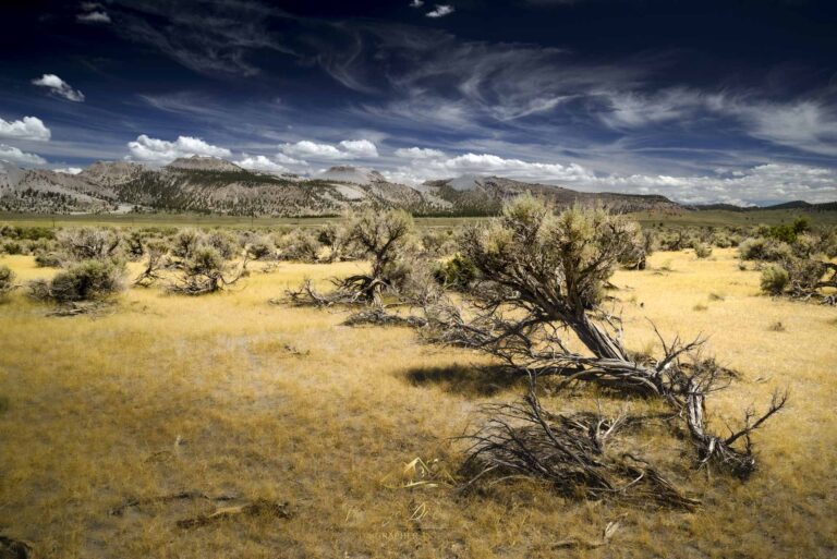 Owen Valley