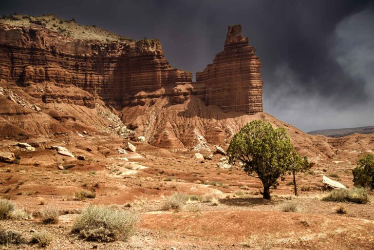 Capitol reef