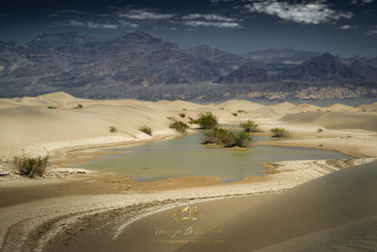 Death Valley