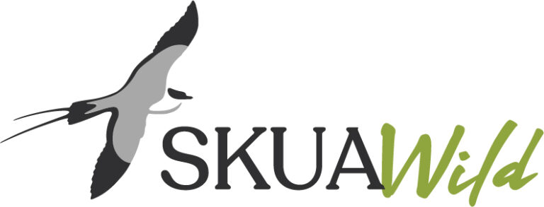 logo skua