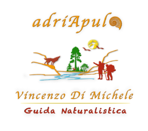 Logo guida_adriapula new