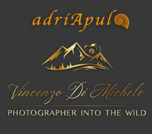 Logo photographer_adriapula
