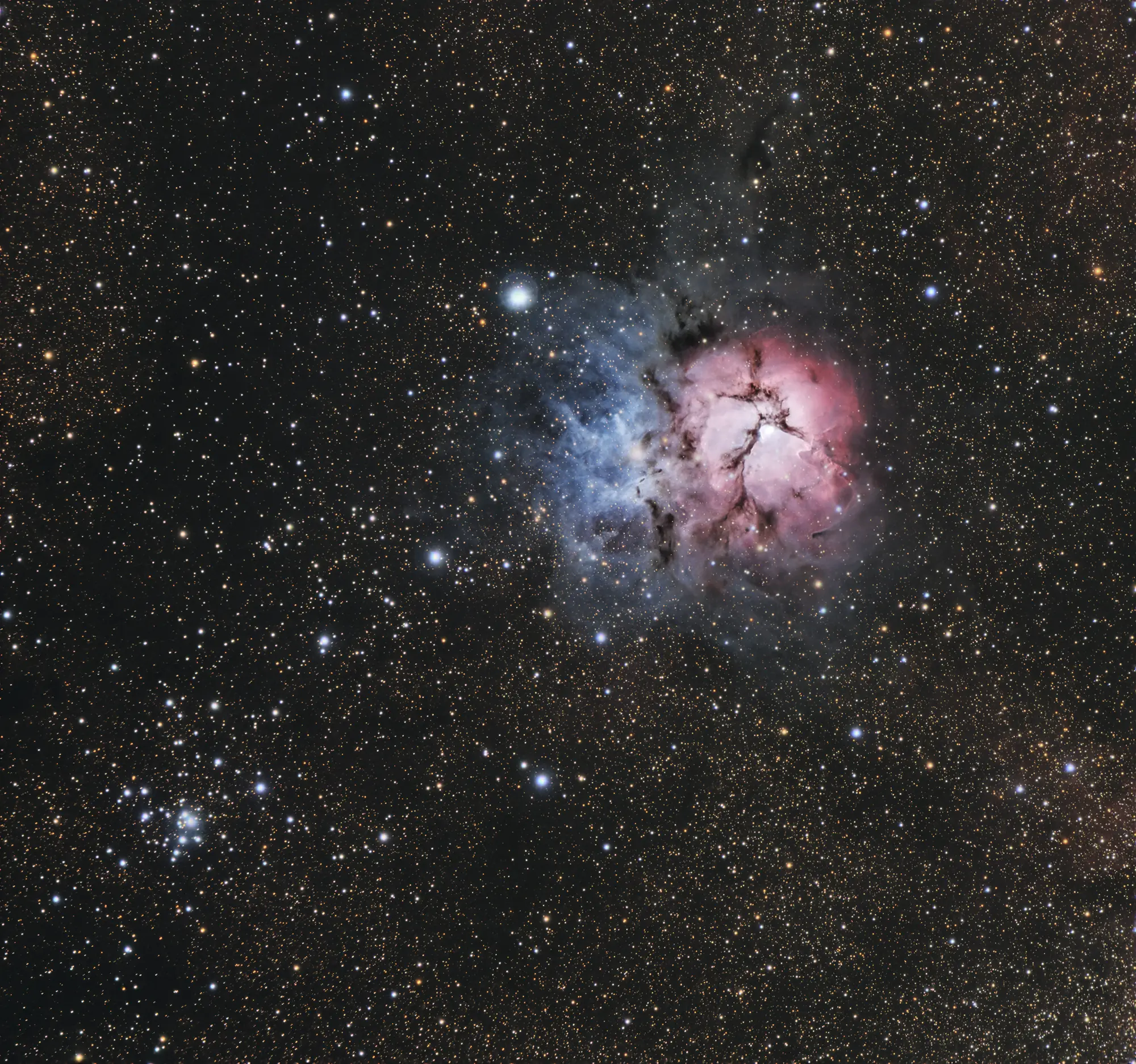 nebulosa trifida