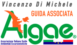 AIGAE_LOGO_GUIDA_ASSOCIATA_versione_A_VDM